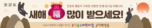 새해현수막 설날현수막 어린이집 유치원 신년현수막 새해인사현수막 명절현수막 184